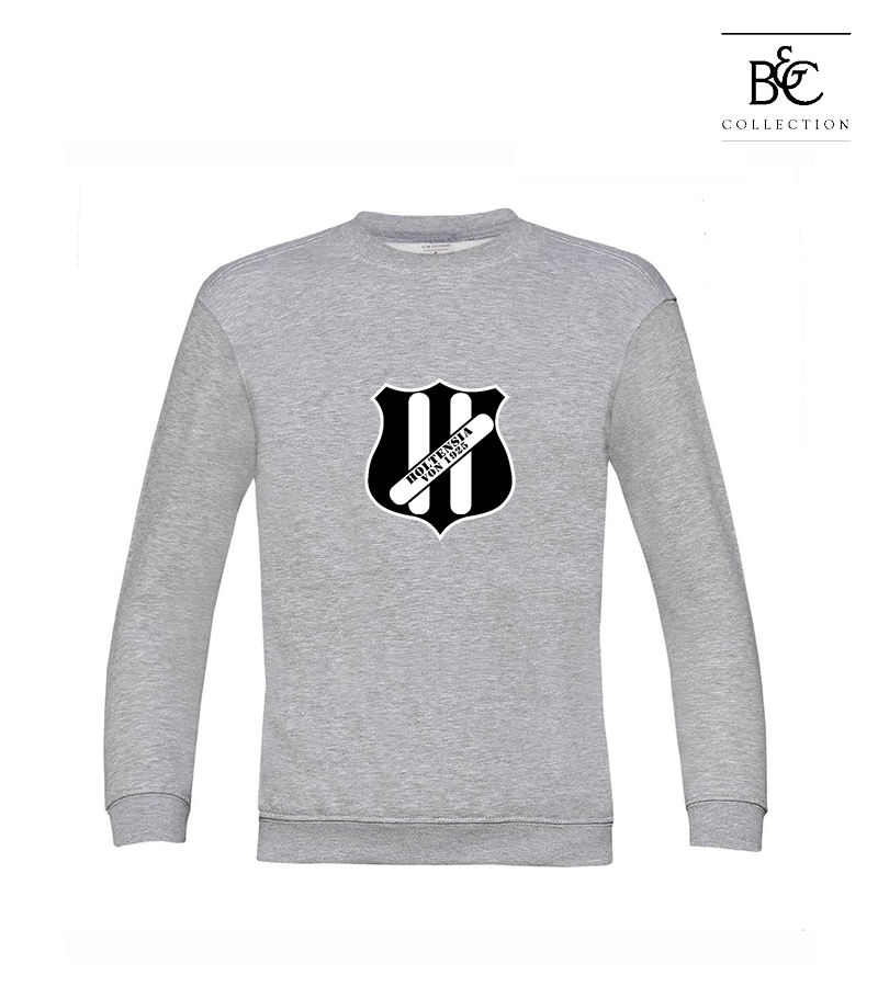 B&C Kinder Sweatshirt Heather Grey "Anton Frontprint"