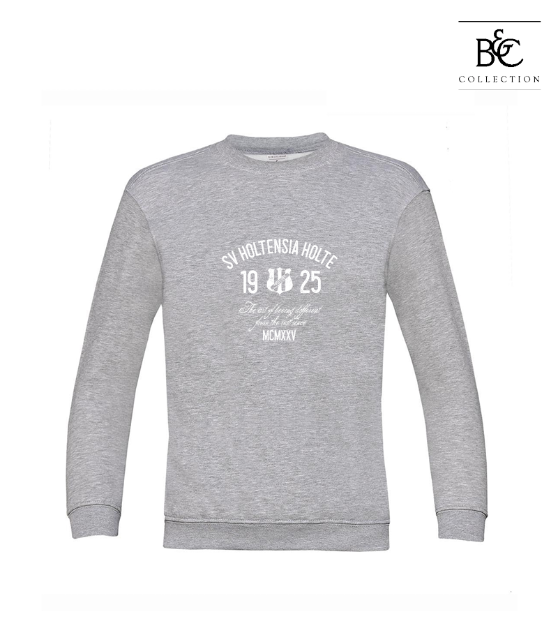 B&C Kinder Sweatshirt Heather Grey "Isack"